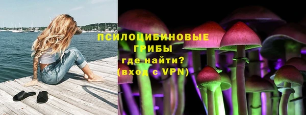 ПСИЛОЦИБИНОВЫЕ ГРИБЫ Рославль