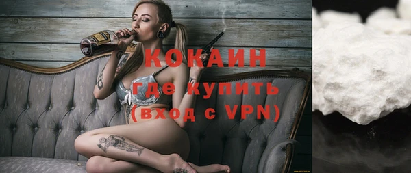 сатива Балахна