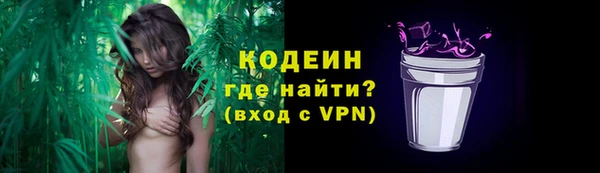 сатива Балахна