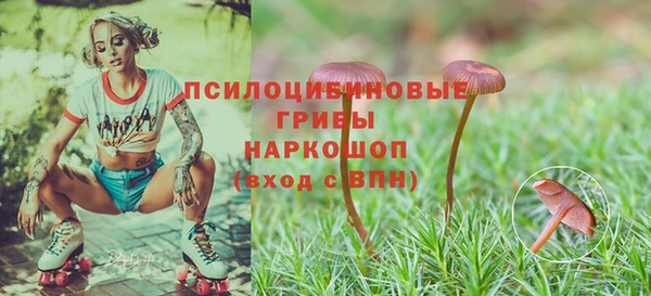 ПСИЛОЦИБИНОВЫЕ ГРИБЫ Рославль