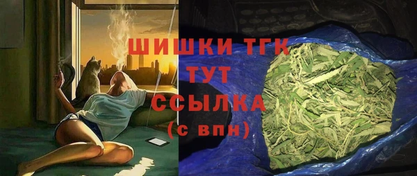сатива Балахна