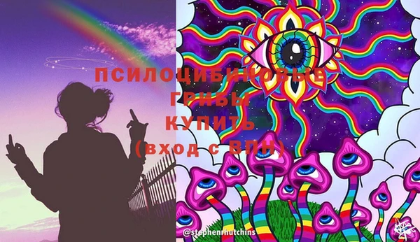ПСИЛОЦИБИНОВЫЕ ГРИБЫ Рославль