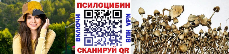 Псилоцибиновые грибы прущие грибы Новоаннинский